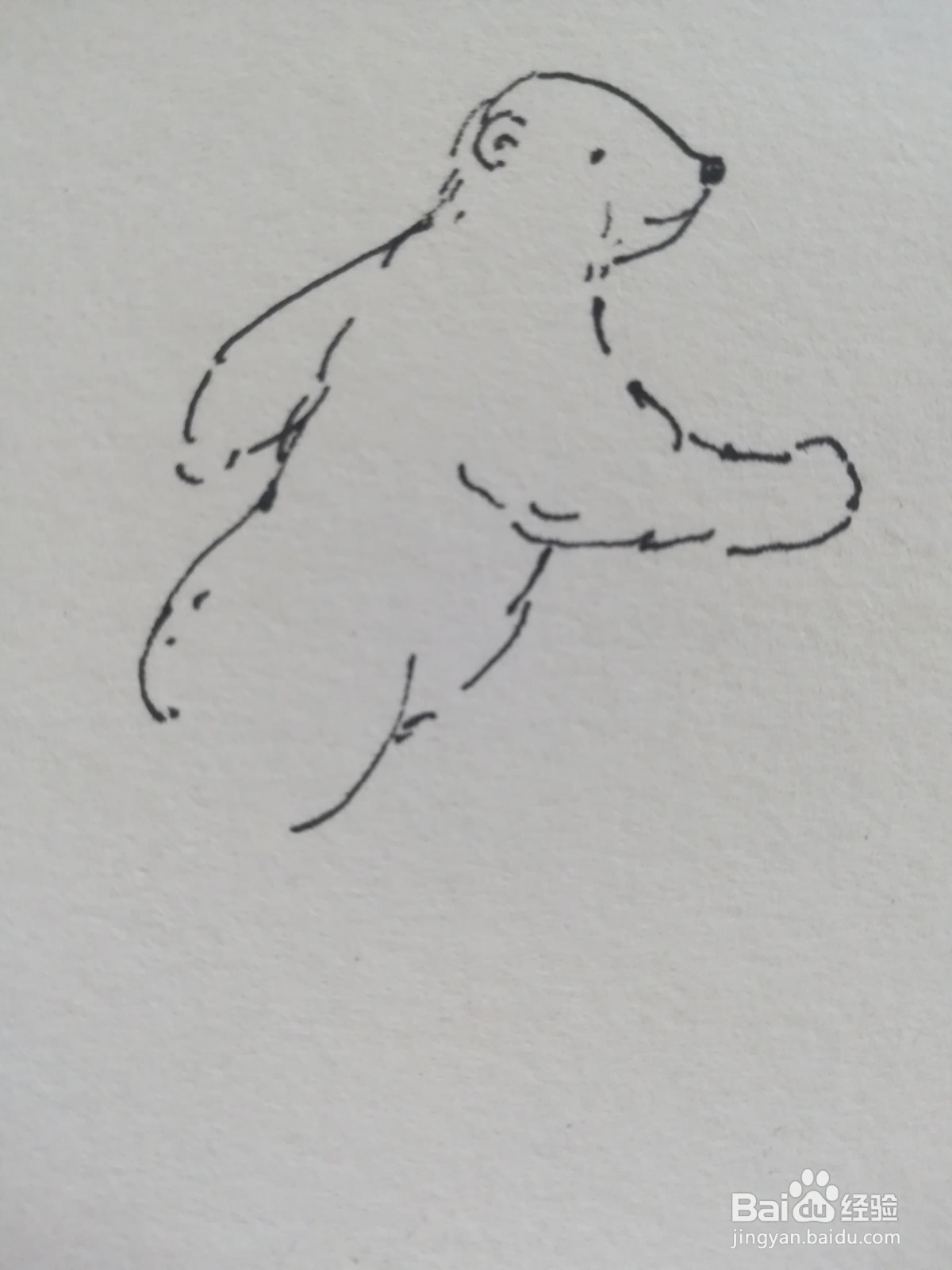 怎么画奔跑的北极熊