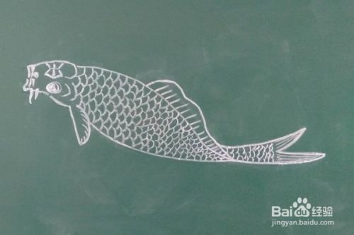 鱼的画法教程。怎么画鱼，如何画鱼？儿童简笔画