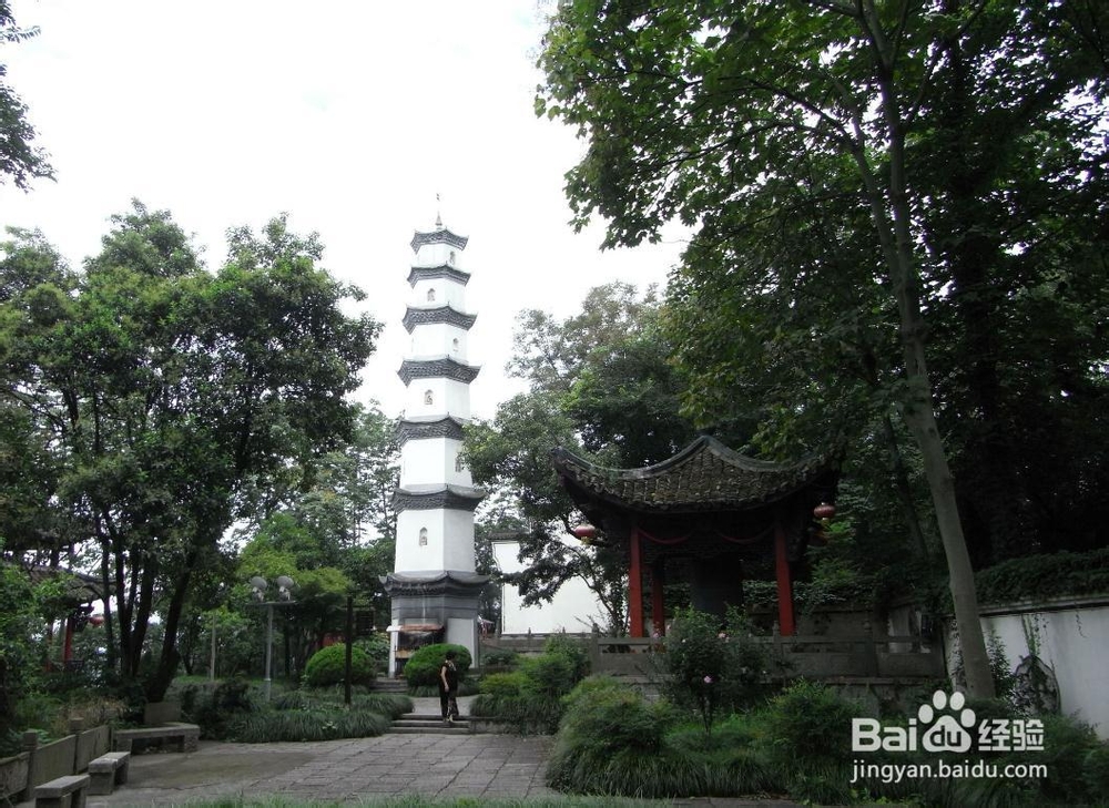 暑假自由行：[19]上海至富阳一日游旅游攻略