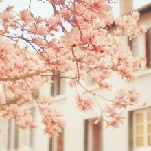 在电脑上怎么玩微信朋友圈