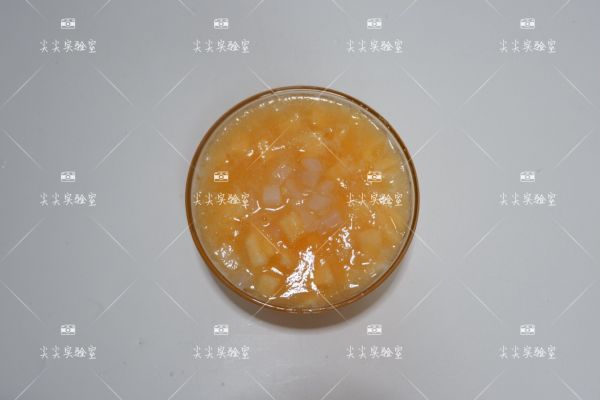 蜜瓜椰果粒冰棍