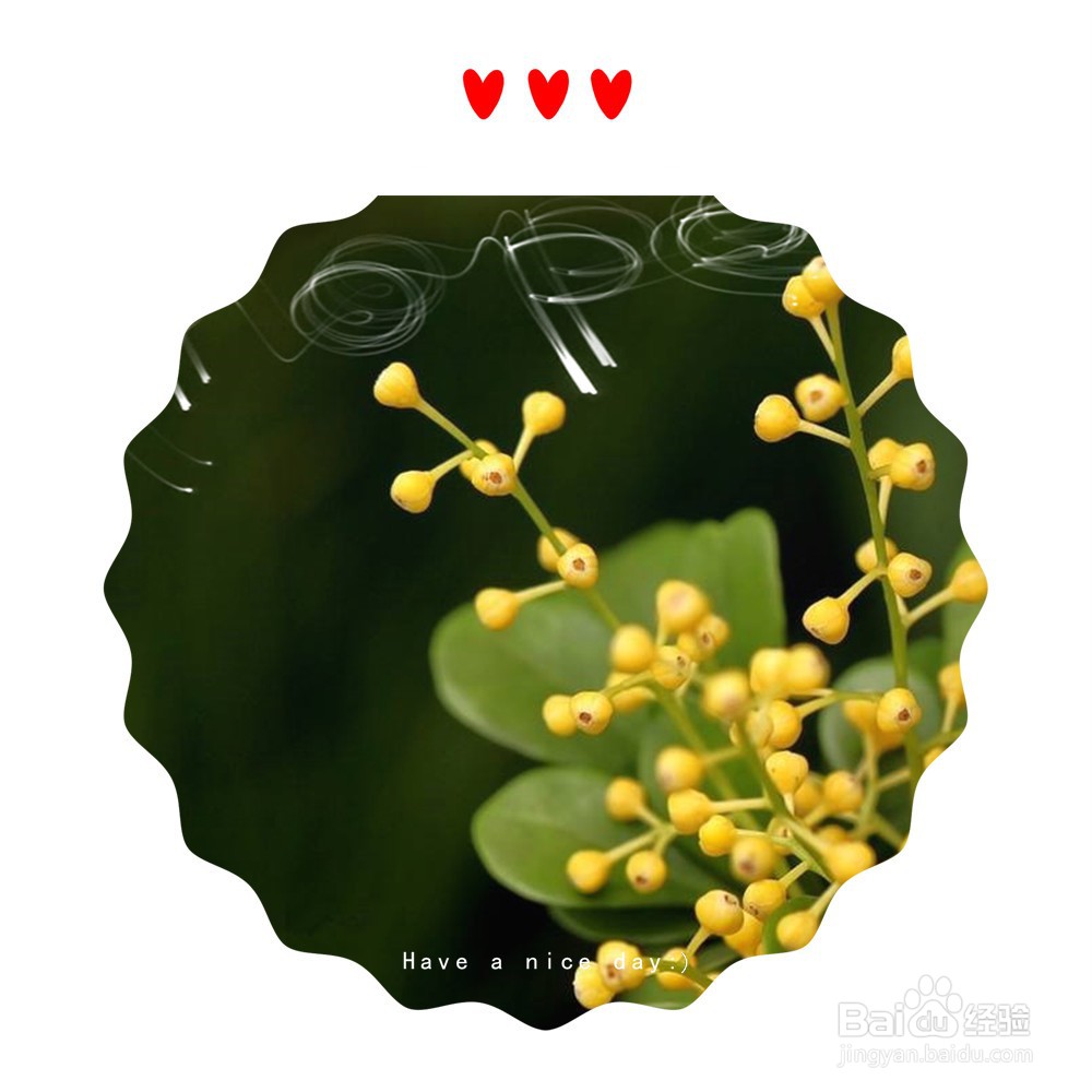 如何用美图秀秀打造米兰花明信片背景