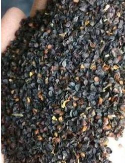 美国石竹种子种植方法