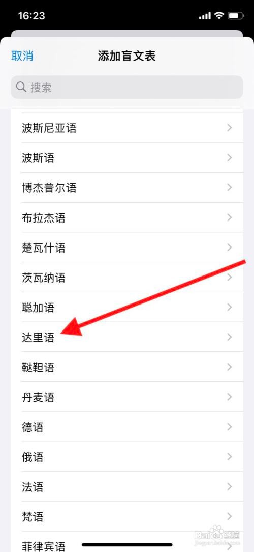 iPhone旁白怎样增加“达里语”盲文表?