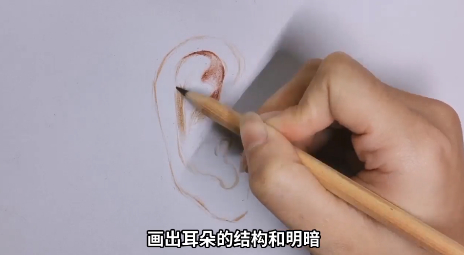 如何用彩铅画耳朵？
