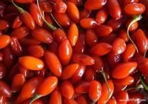 让你吃出好眼睛的食物