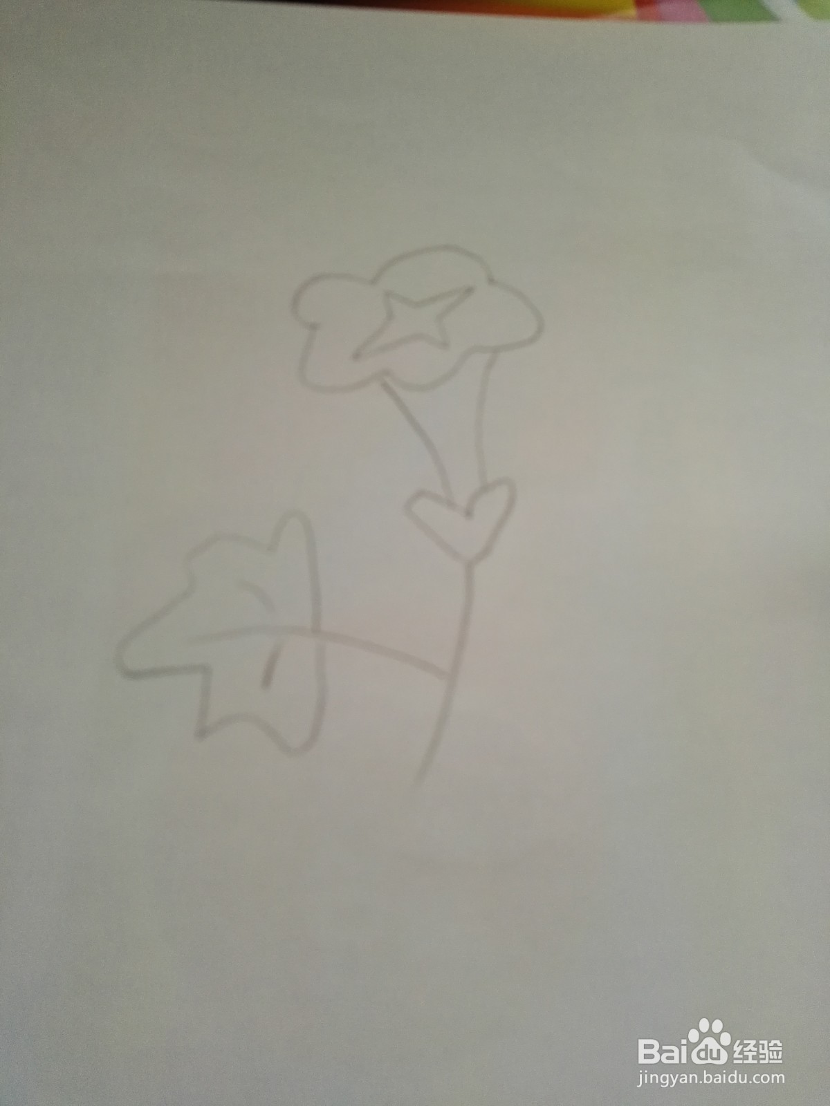 好看的牵牛花简笔画