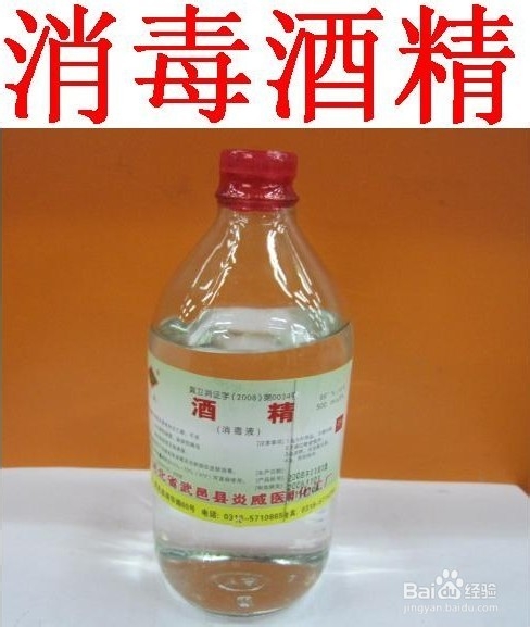 二十条水果禁令