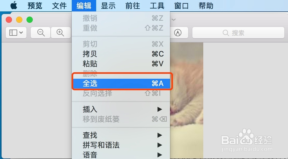 Mac如何自定义文件和文件夹的图标