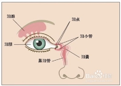 如何切洋葱眼睛不流泪切洋葱不流泪的方法