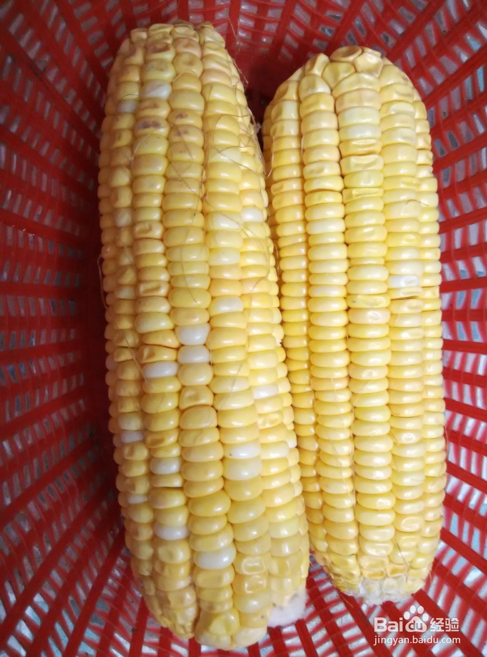 玉米养生素汤的家常做法