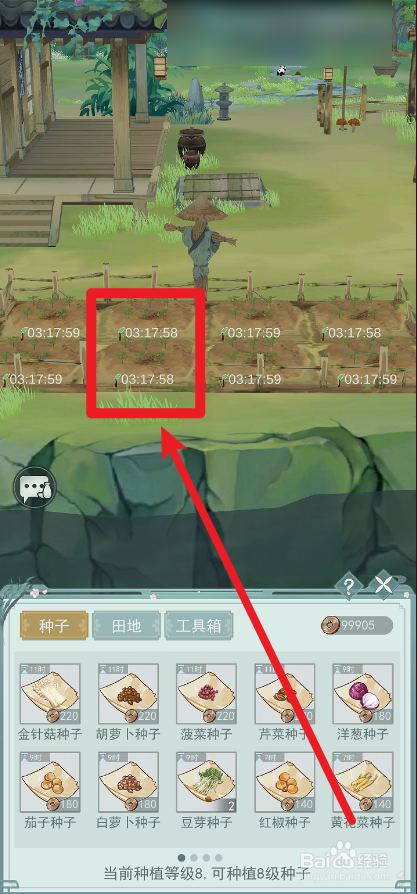 江湖悠悠金针菇怎么种植