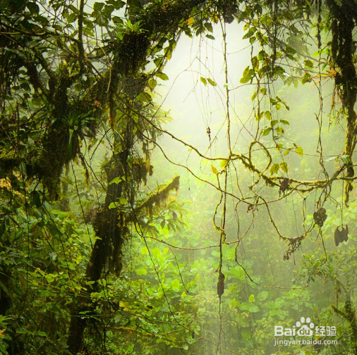 怎么样在《我的世界》里成为胜利者