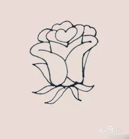 玫瑰花简笔画的画法