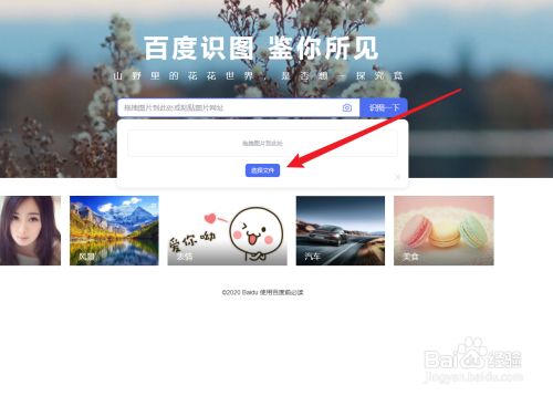 百度搜图搜索引擎=百度搜图搜索引擎下载