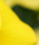 奔四族多吃的九种平价养生食物1