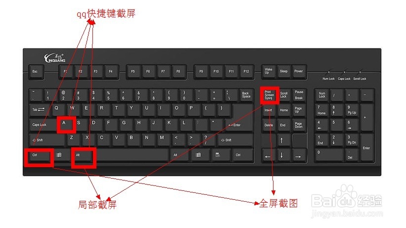 电脑截图快捷键怎么用