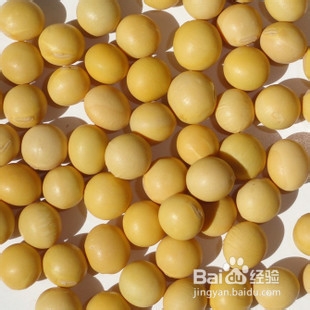 红枣枸杞豆浆怎么做好吃