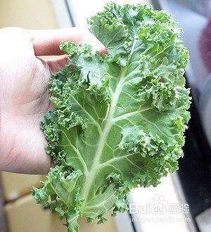 如何让羽衣甘蓝变好好吃 沙拉 配菜都可以~