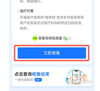 支付宝怎么帮别人查询核酸检测结果