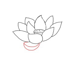 简笔画---怎么画荷花