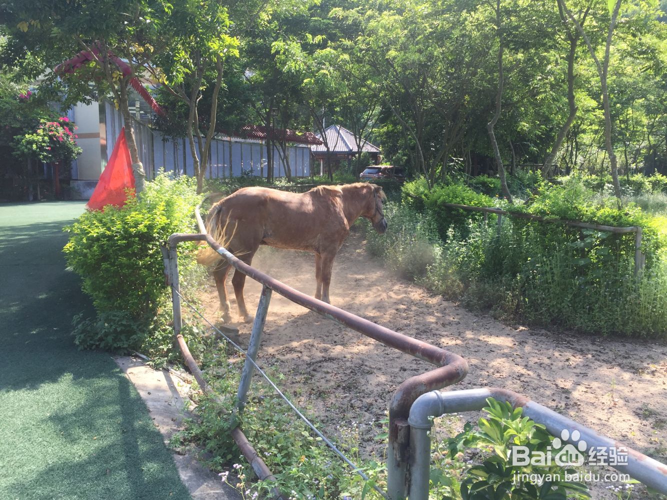 梧州龙之泉度假山庄旅游攻略