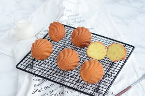 玛德琳基础款超有爱