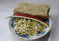 “豆芽的美味烤麸来”