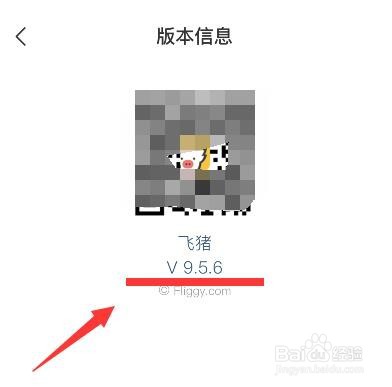 飞猪版本的查看方法