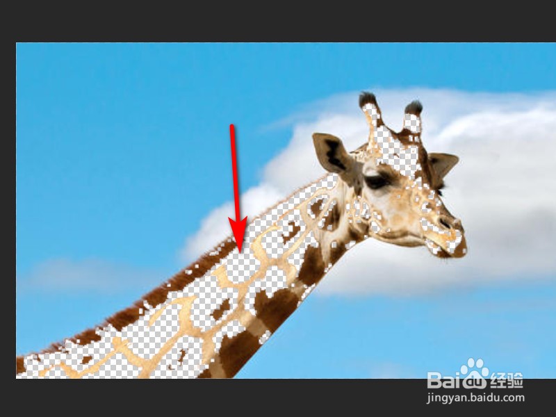 Photoshop中魔术橡皮擦怎么使用？