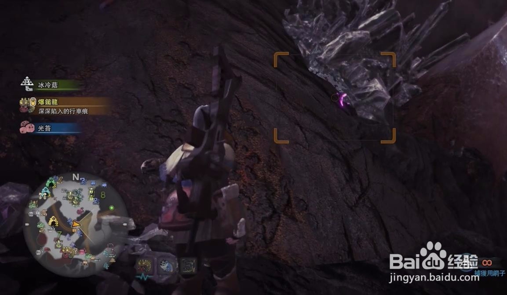 怪物猎人世界月光蜥蜴捕获位置介绍