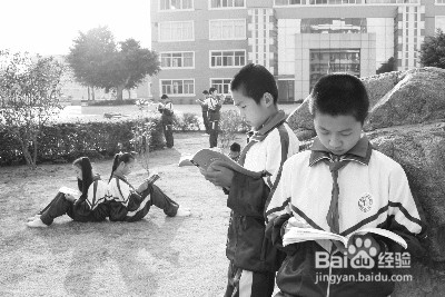 孩子课外学习如何选择？