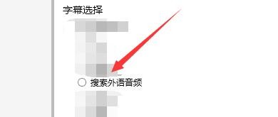 如何设置VidCoder启用搜索外语音频字母选择功能