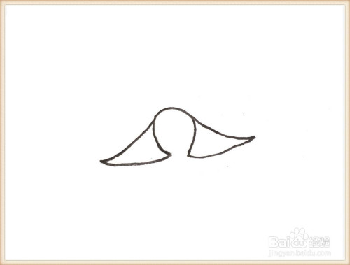 一笔一笔教你画软骨鱼简笔画