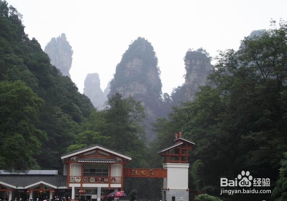 松原到张家界自驾游