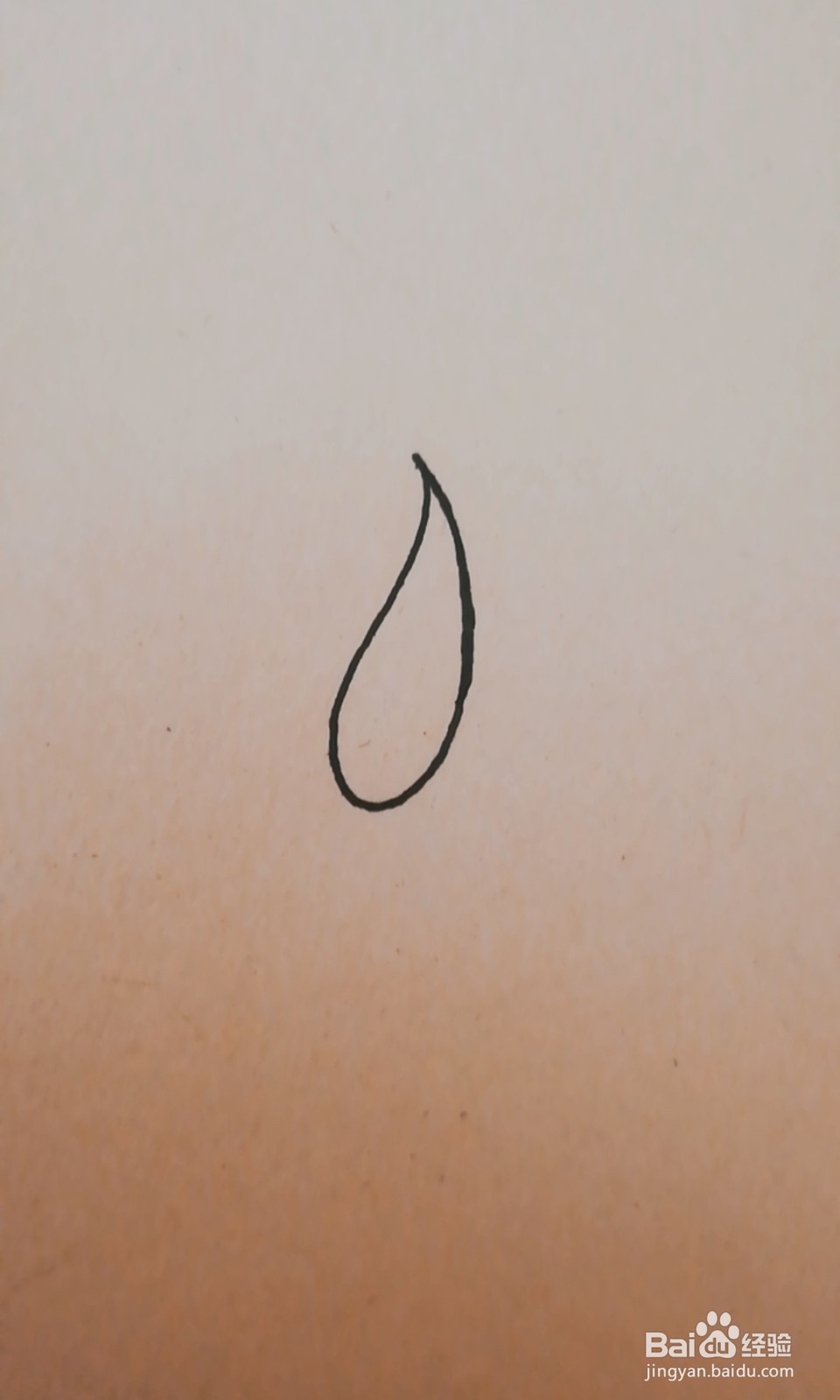 简笔画-油菜怎么画