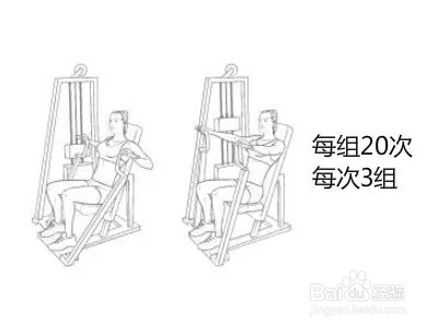 7天详细健身减肥计划