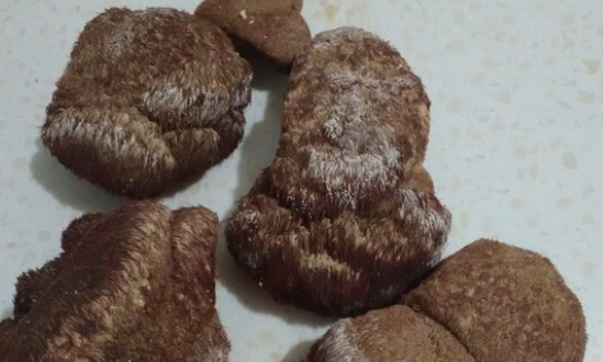 老鹅汤的做法，如何做，怎么做