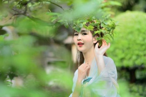 少女情怀的主要内容是什么