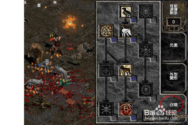 暗黑2：肉盾德鲁伊的练法