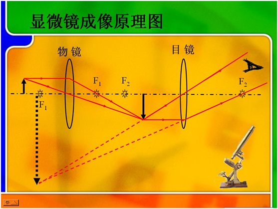 显微镜与望远镜的区别，和显微镜与望远镜的成像原理图