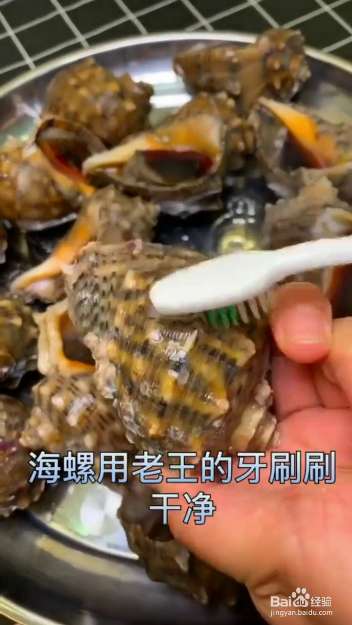 如何制作原汁原味的蘸汁海螺？