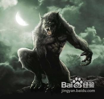 英雄联盟LOL狼人出装攻略