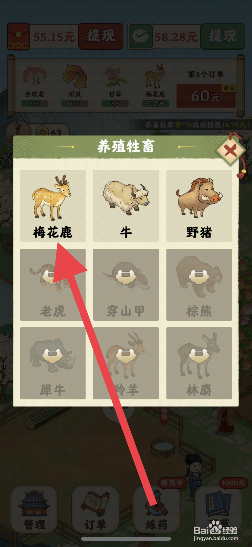 杏林世家怎么养殖两头梅花鹿