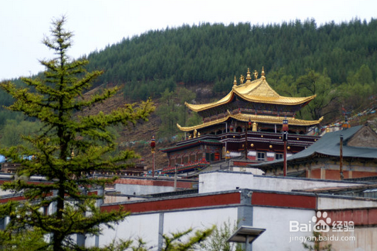 大美青海怎样吸引人过去的旅游。
