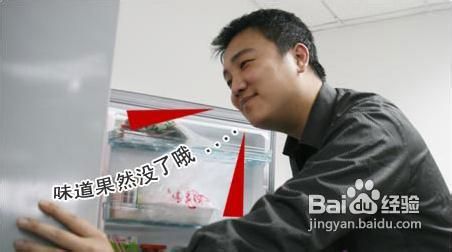 怎么除冰箱异味
