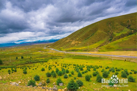 中学生如何丰富假期生活？