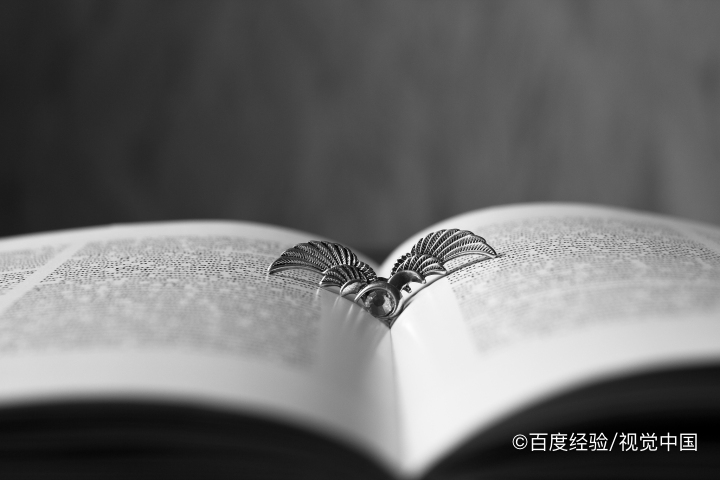 作为部门负责人应该怎么做