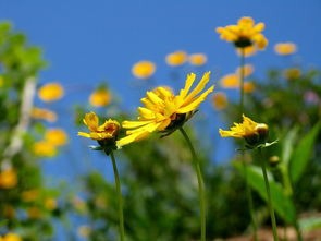 怎样解除郁闷的心情