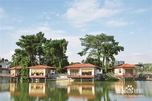 平南有什么好玩的景点